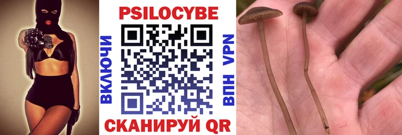 Галлюциногенные грибы Magic Shrooms  KRAKEN рабочий сайт  Энем  даркнет сайт 